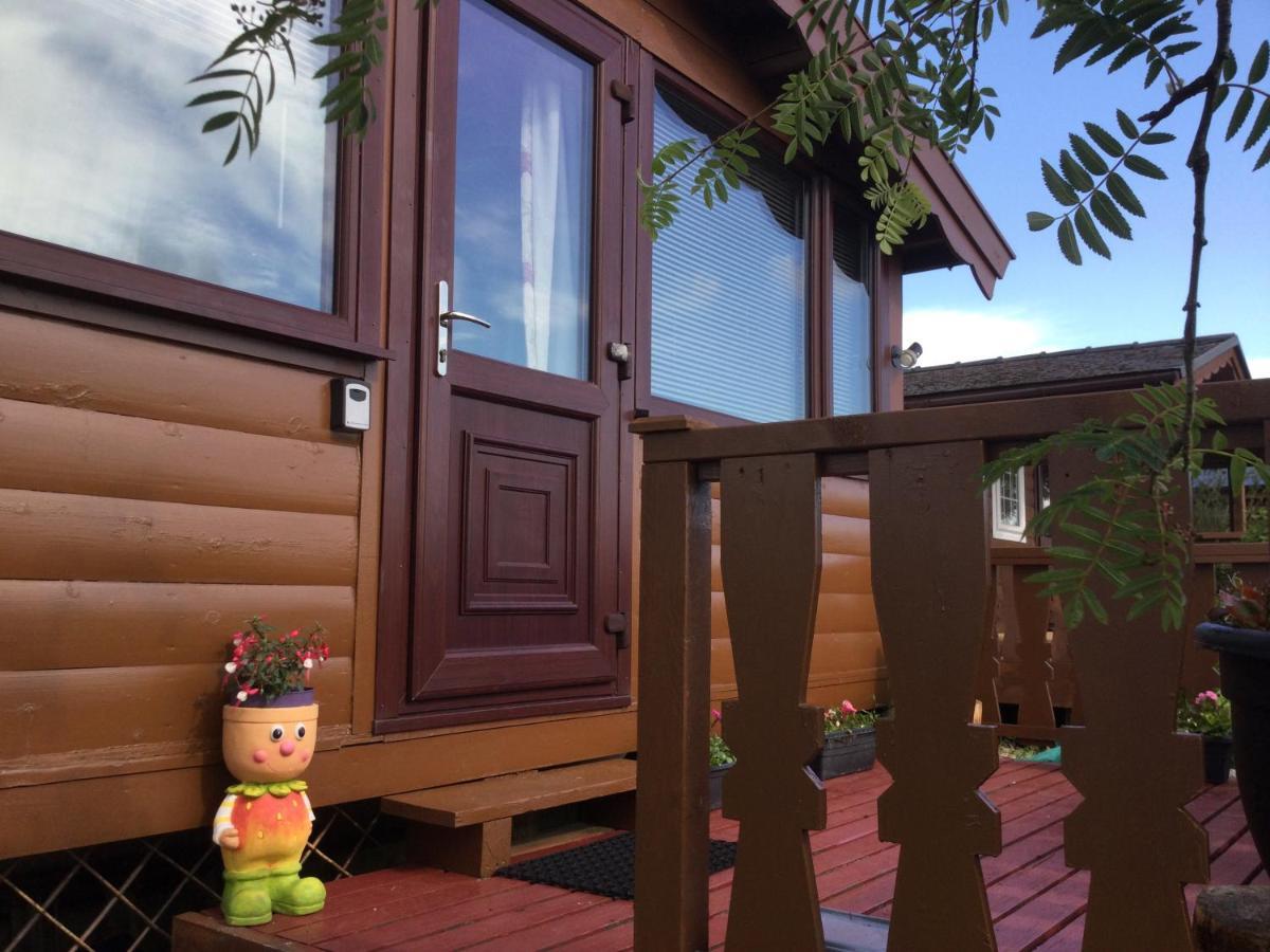 Snowdonia National Park Log Cabin With Garden Trawsfynydd Екстериор снимка