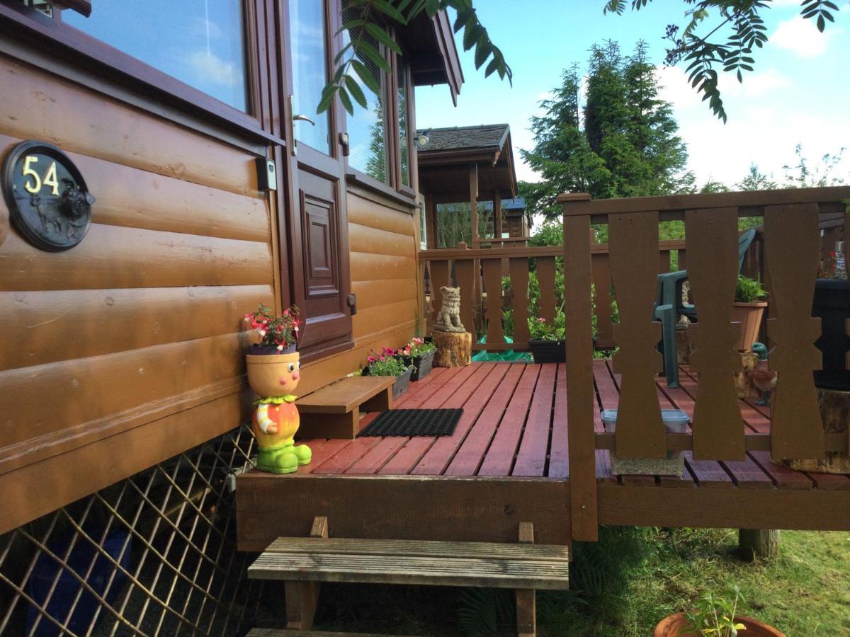 Snowdonia National Park Log Cabin With Garden Trawsfynydd Екстериор снимка