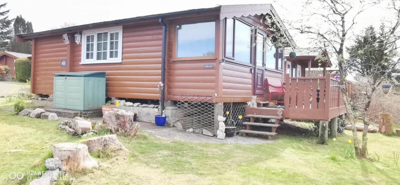 Snowdonia National Park Log Cabin With Garden Trawsfynydd Екстериор снимка