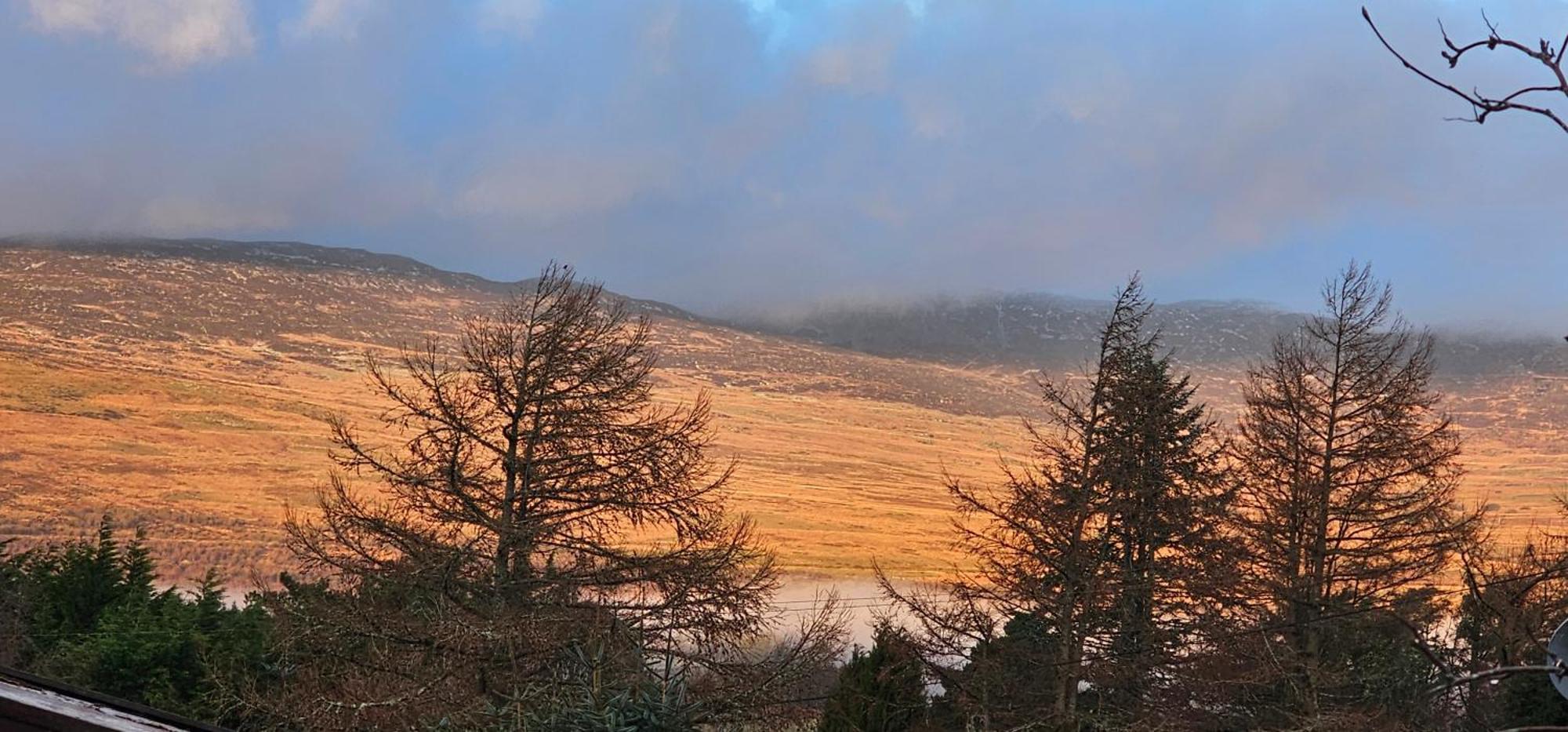Snowdonia National Park Log Cabin With Garden Trawsfynydd Екстериор снимка